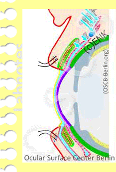 Blink-NUR-QUER-Beschnitten-+-TränenABFLUSS_Einzelbilder_NEU_+Zettel_2_.gif
