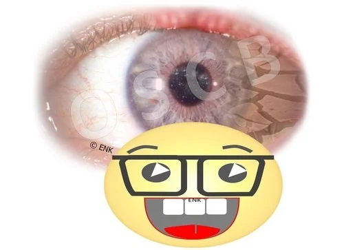 ZIELGRUPPEN-Symbol-Bilder+VERSCHIEDENE+4+SCIENTIST+mit+Auge.jpg
