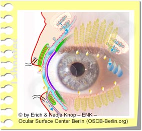 ... وبعض أكثر<br>معلومات حول<br>مرض جفاف العين