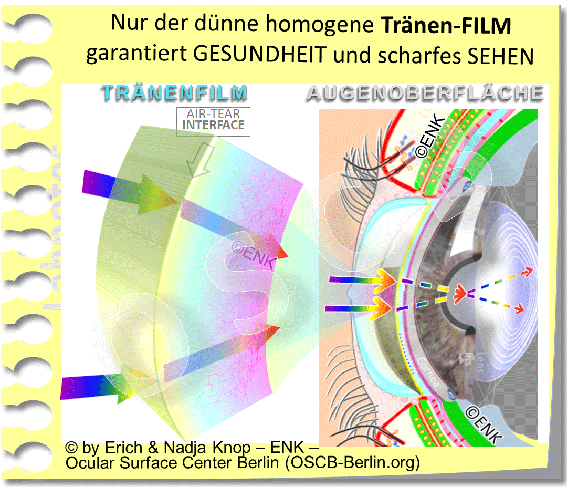 OSCB-Berlin.org_Dry-Eye-Disease,-Trockenes-Auge,-(c)ENK_Nur-der-dünne-homogene-Tränen-FILM-garantiert-GESUNDHEIT-und-scharfes-SEHEN---Einfach-2x-3D-ÖL_NEU-HH+IRIS-3D-+HH-WEISS-WEB_2_20_.gif