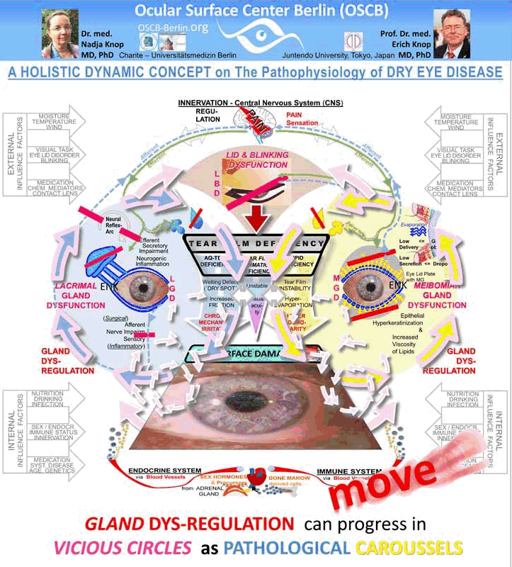 OSCB-GIF_ABSCHLUSS VICIOUS CIRCLES (aus Dry Eye Concept)_30-72_7-1_.gif