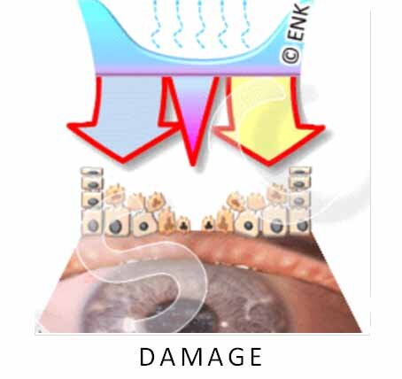 Information-6-DAMAGE_Neu2-ENGLISH_.jpg