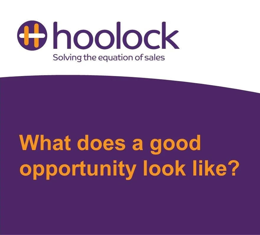 What does a good opportunity look like.jpg