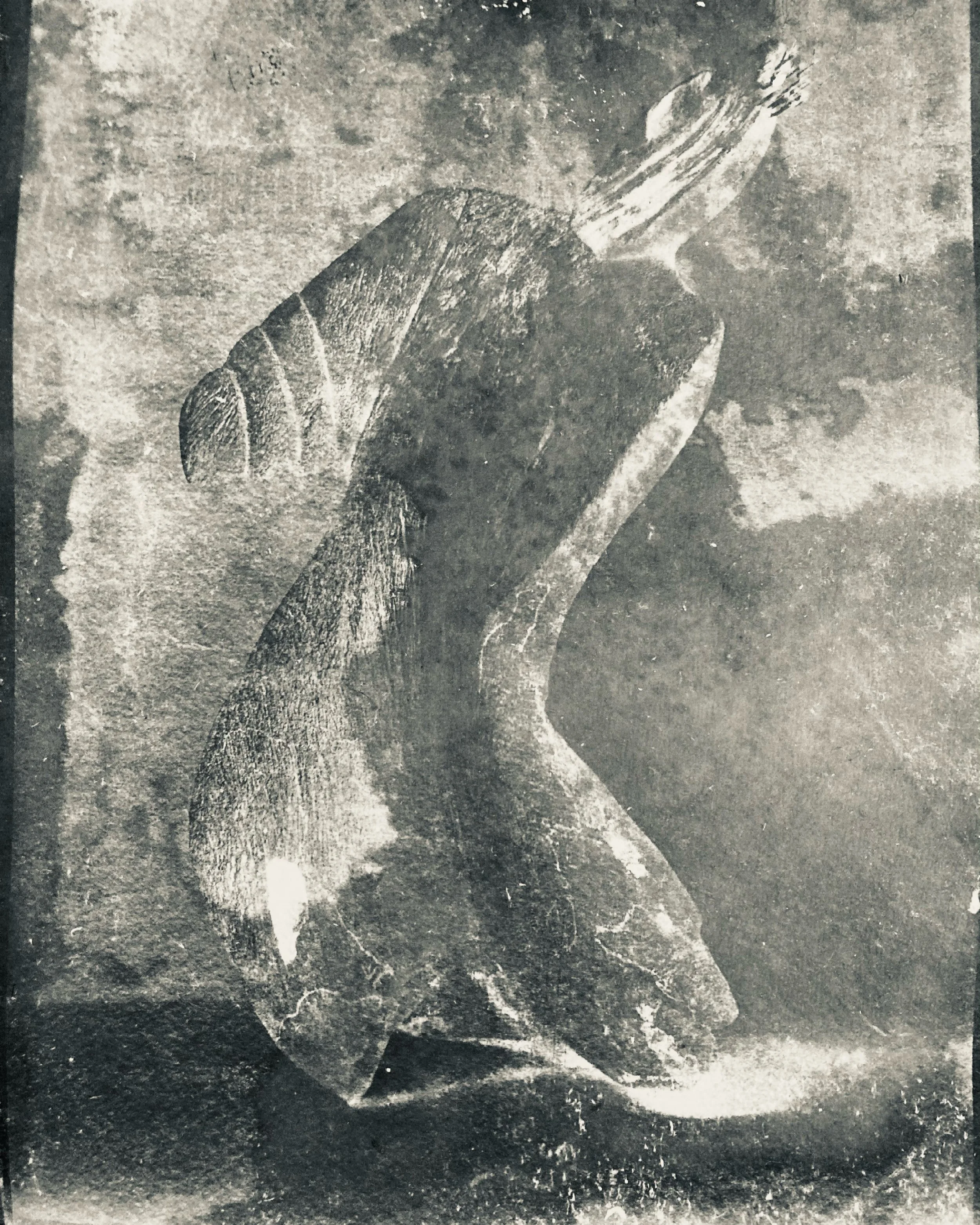 IWKUY6664.JPG