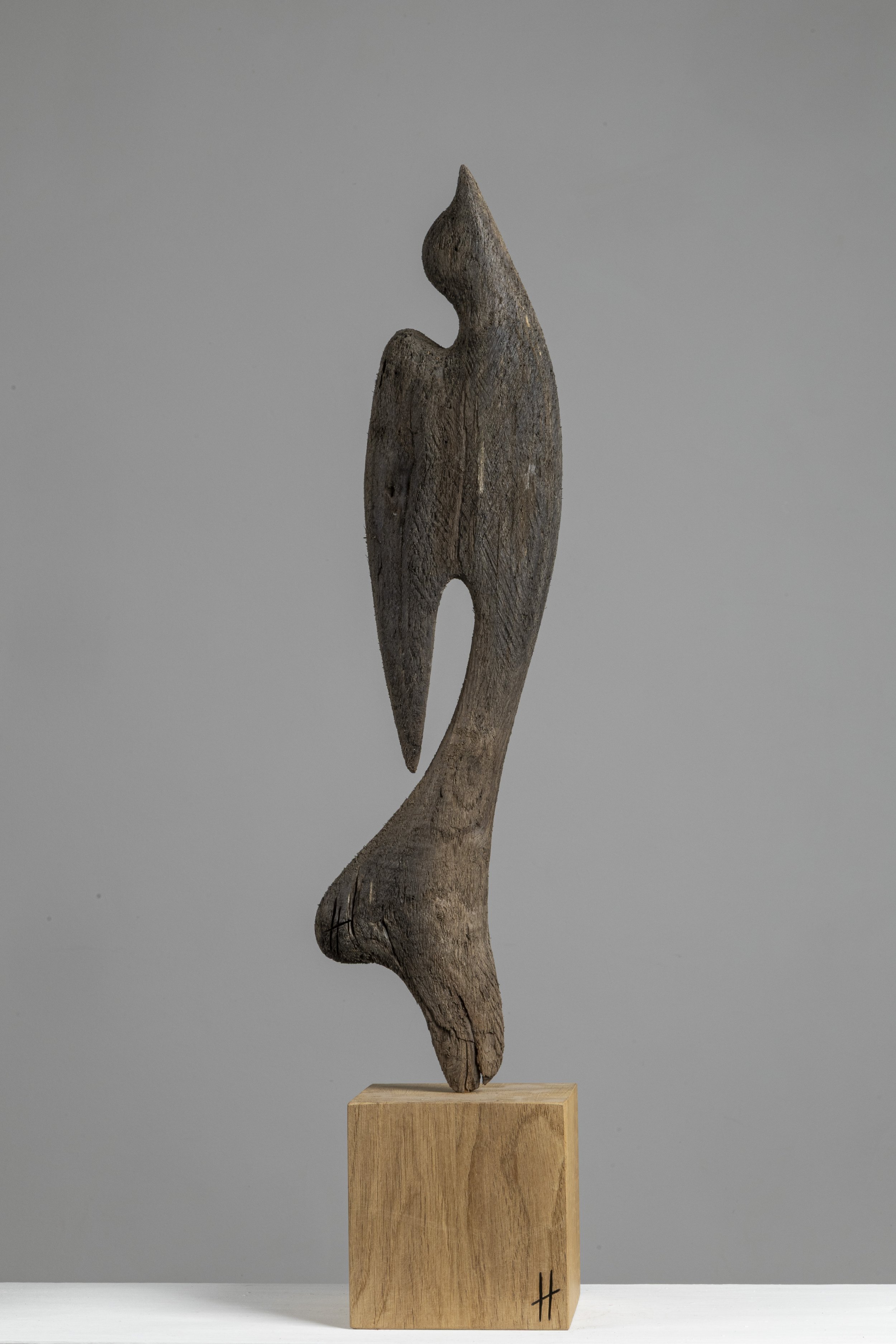 _X3A1955.jpg