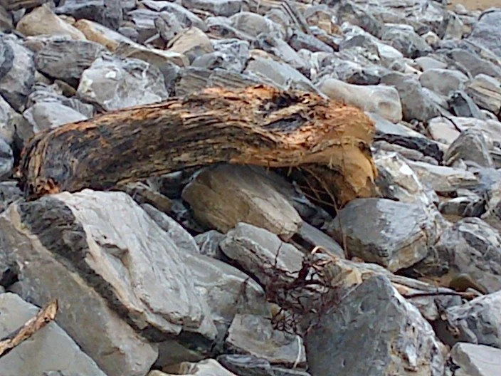 IMG-20131226-00408.jpg