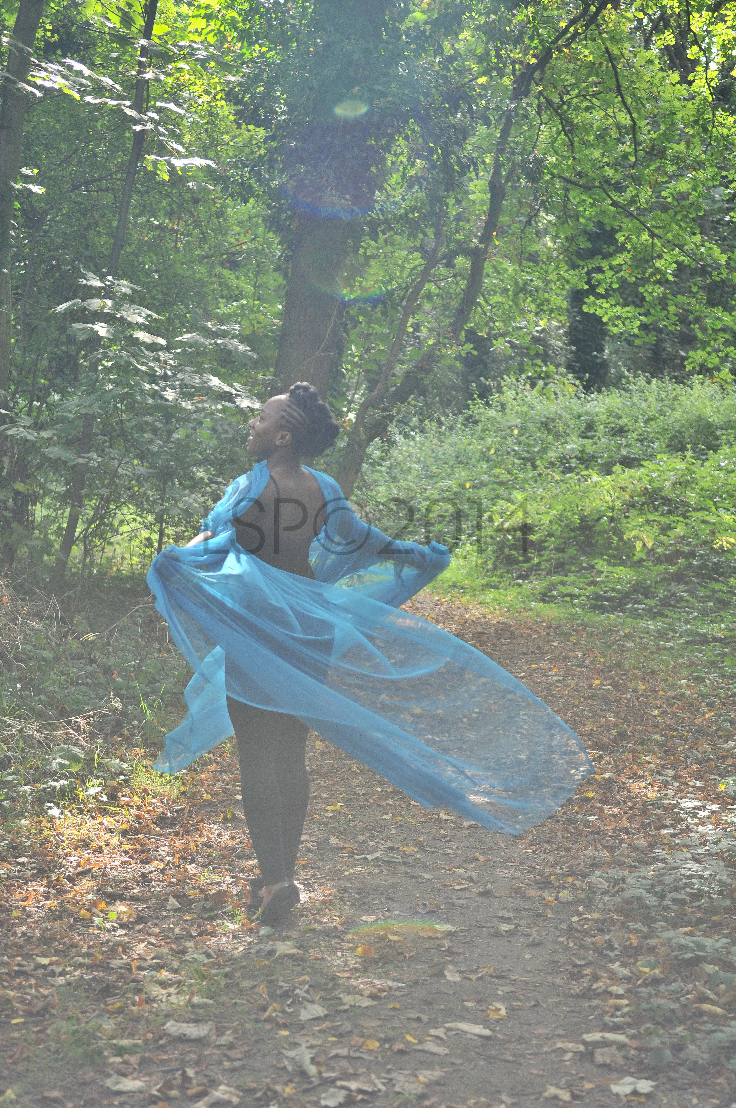 DSC_1969CR.jpg