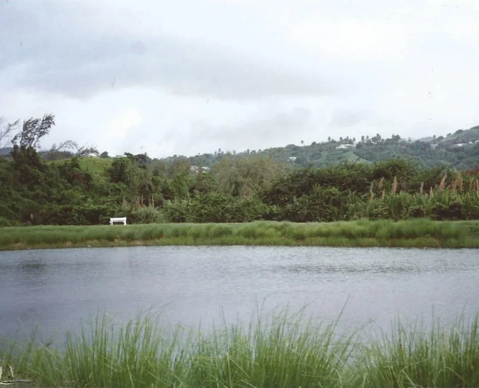 One of my favourites spots in St. Andrew.