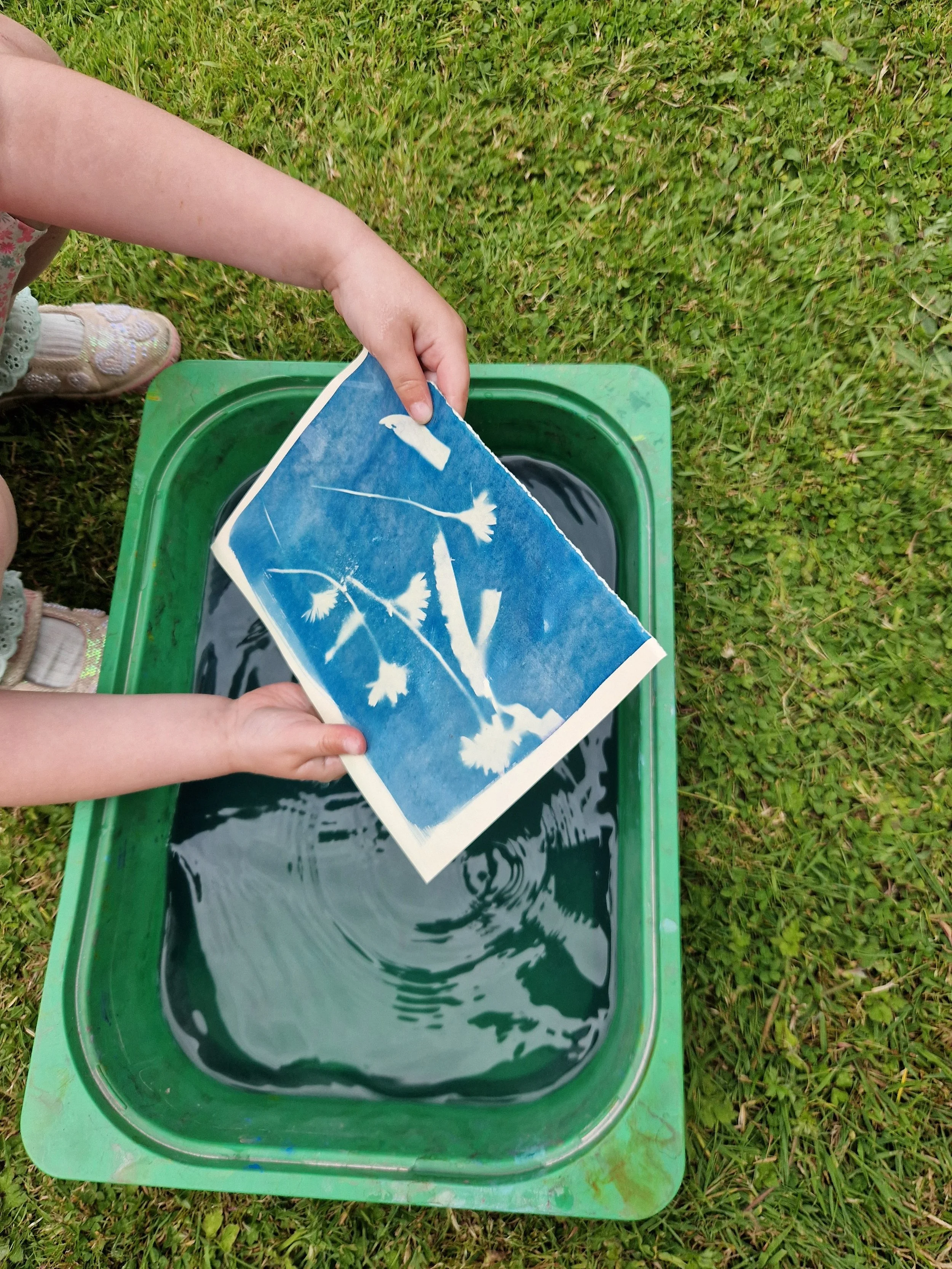 Make at Muckross: Cyanotype Workshops