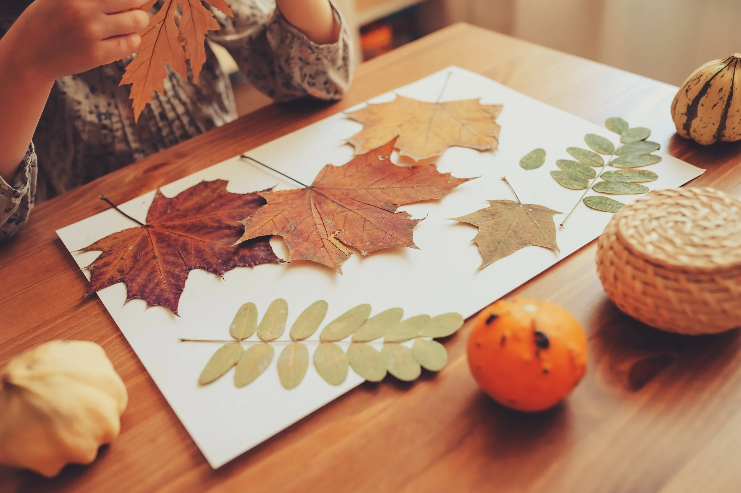 AdobeStock_111102803.jpeg