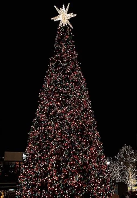 christmas tree MP.jpg
