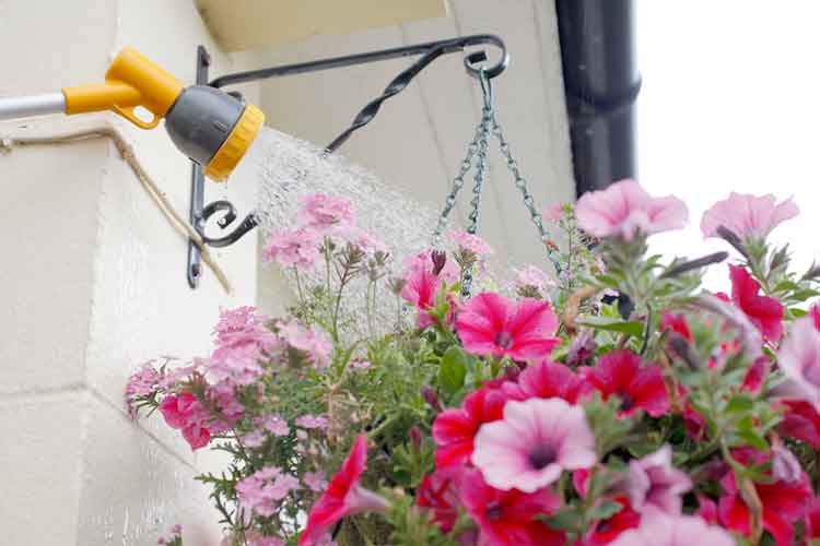 Water-hanging-baskets.jpg