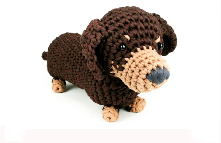 compresseddog1-1050x700.jpg