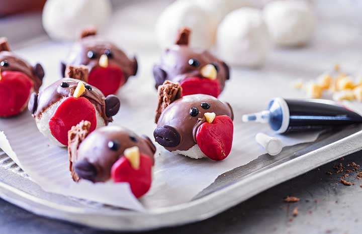 Coconut-Ball-Robins.jpg
