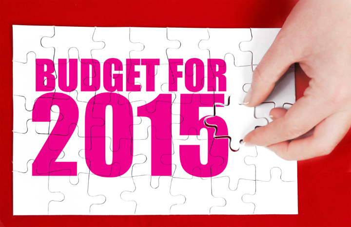 budget2015.jpg