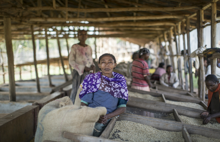 Fairtrade_2016_Ethiopia-0186.jpg