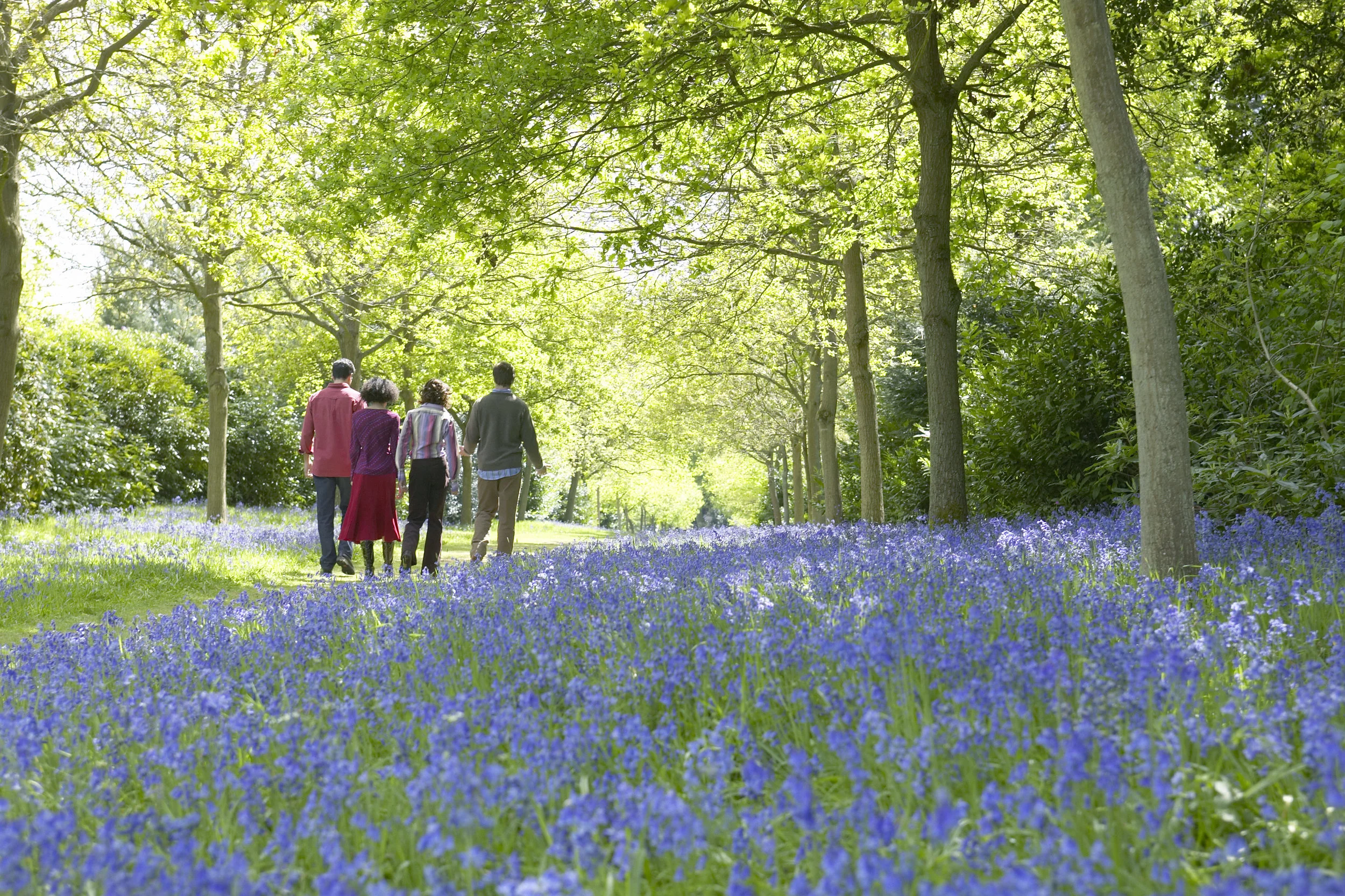 Blickling%20Hall%20©NTPL%20Matthew%20Antrobus.jpg