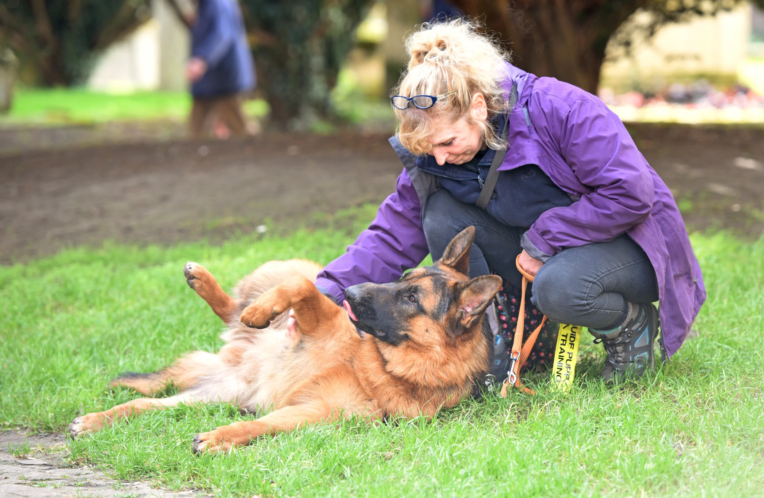 They might be big working dogs but they're real softies, too