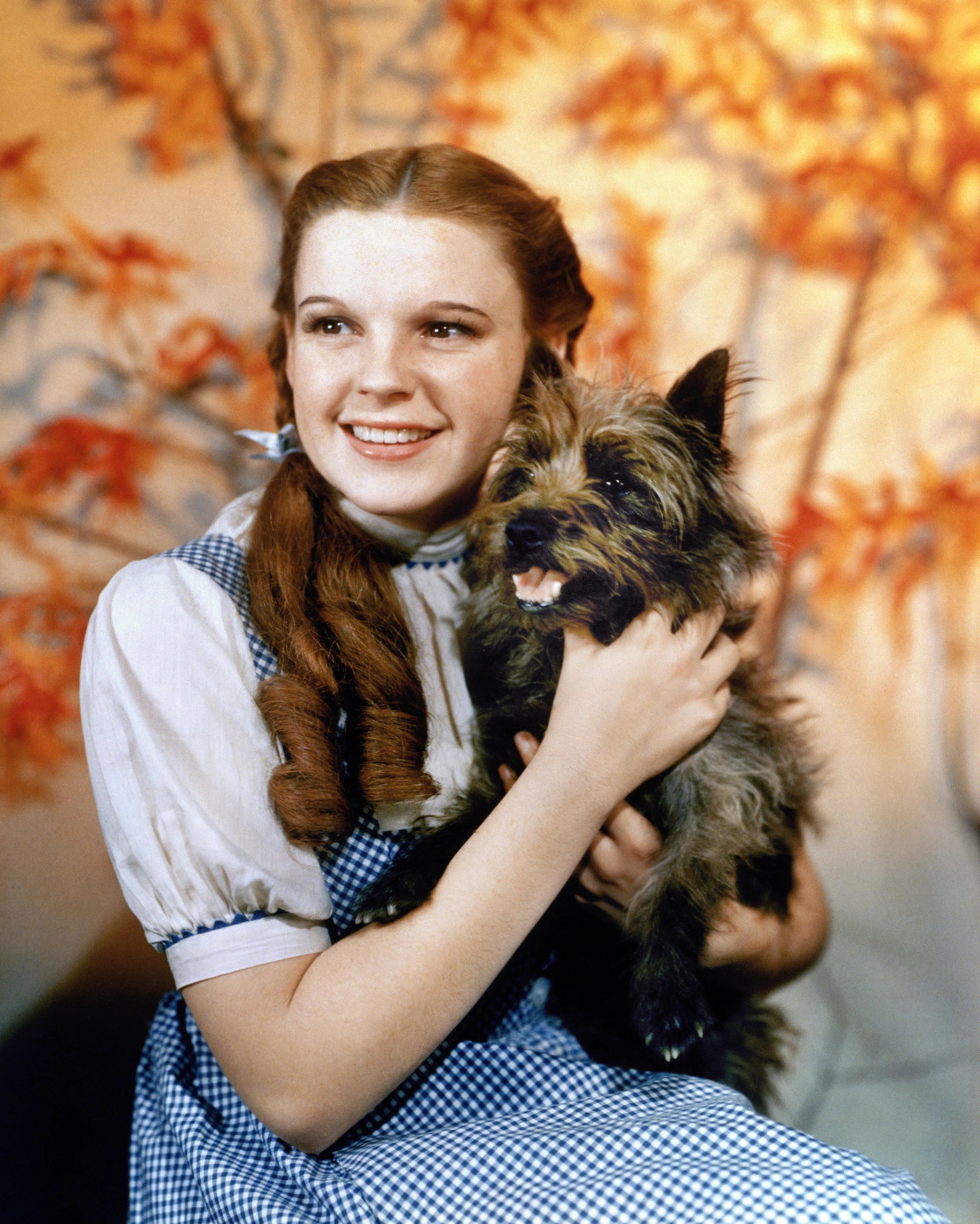 Judy Garland in The Wizard of Oz