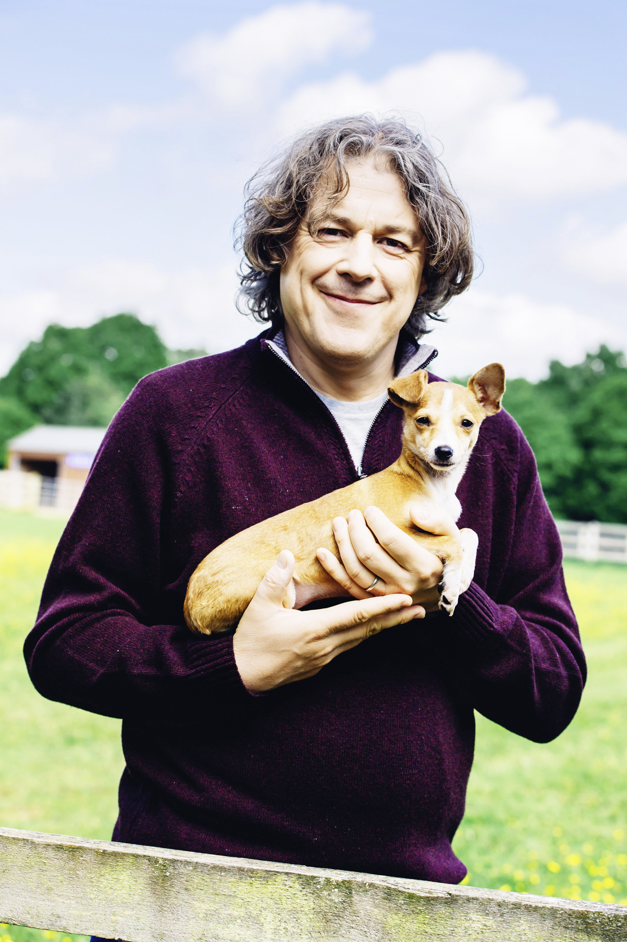 the dog rescuers with alan davies