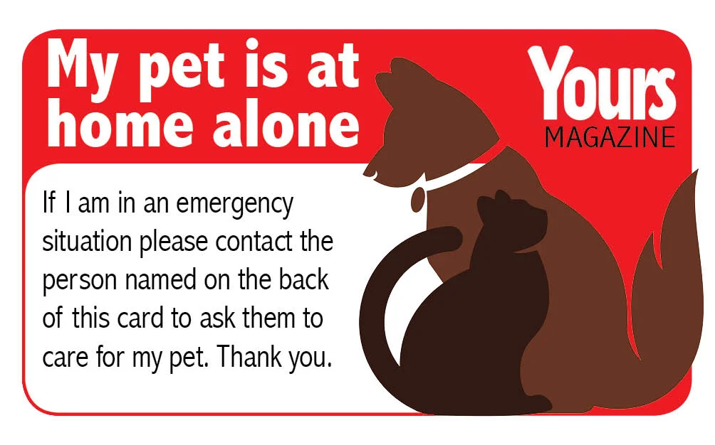 pet care card copy.jpg