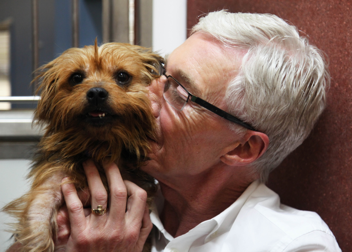 for-the-love-of-dogs.jpg