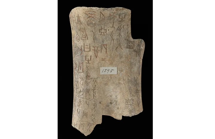 chinese-oracle-bones-british-library-harry-potter.jpg