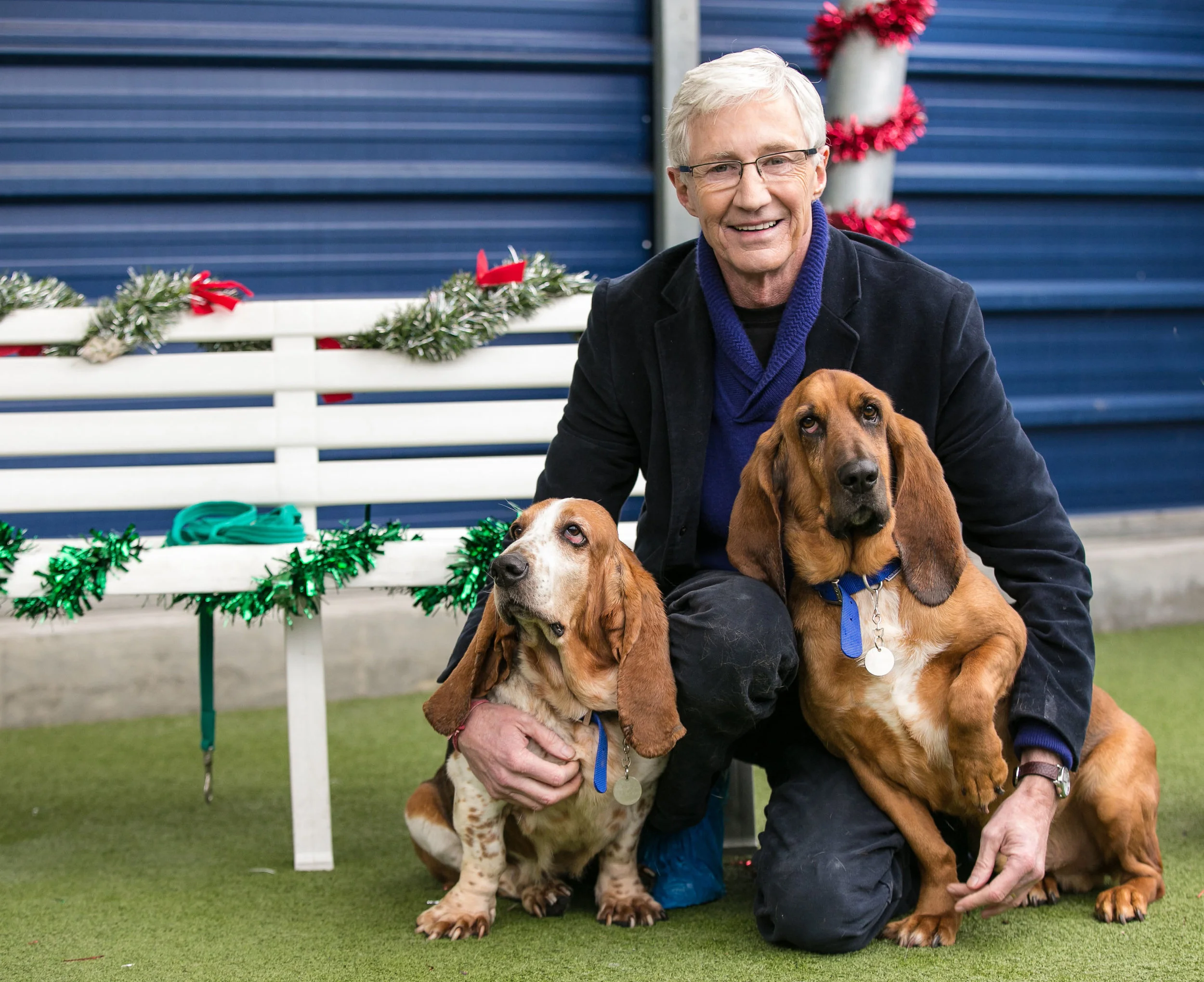 ITV PAUL_OGRADY_LOVE_OF_DOGS_CHRISTMAS_03.jpg