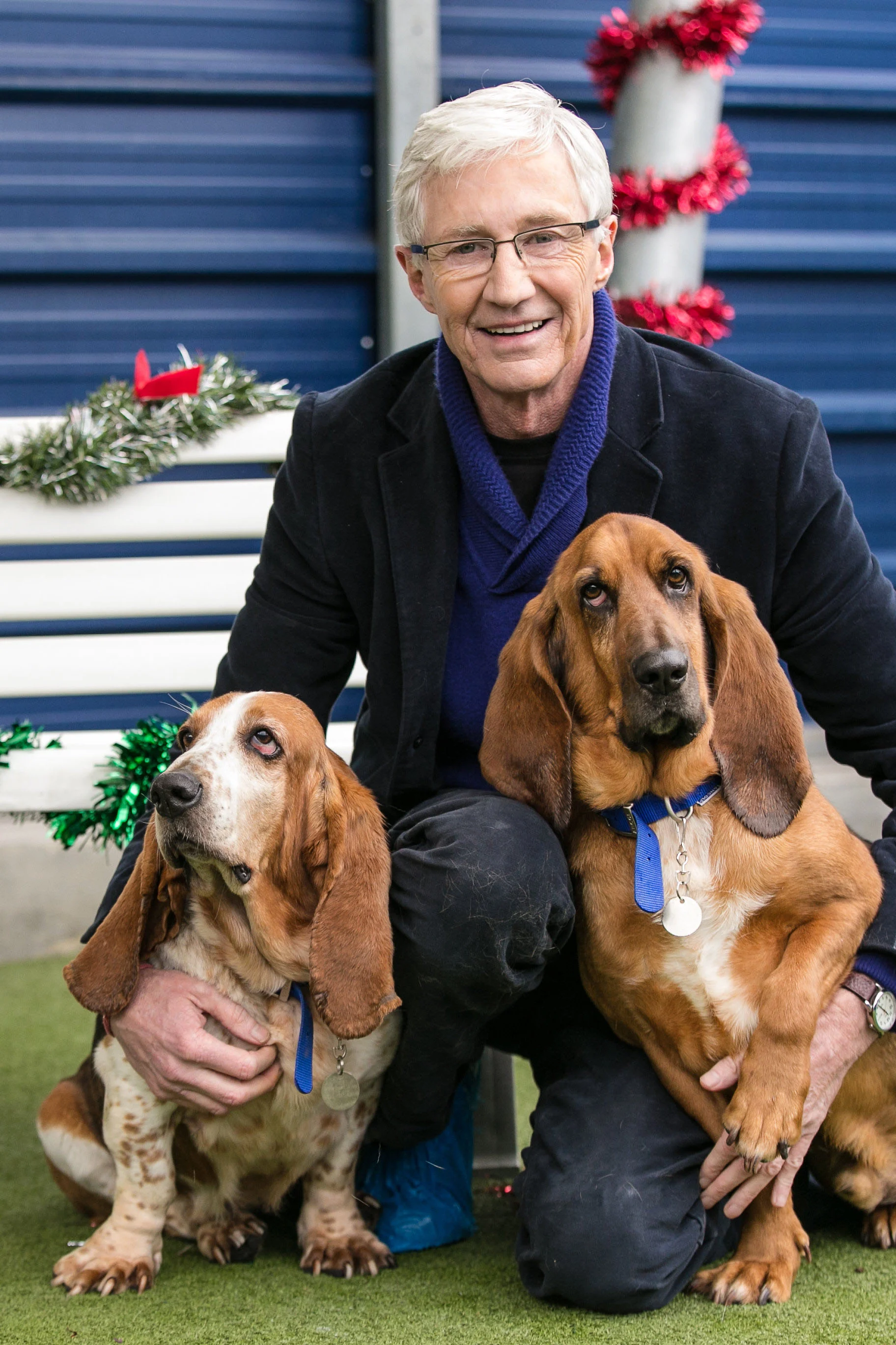 ITV PAUL_OGRADY_LOVE_OF_DOGS_CHRISTMAS_02.jpg