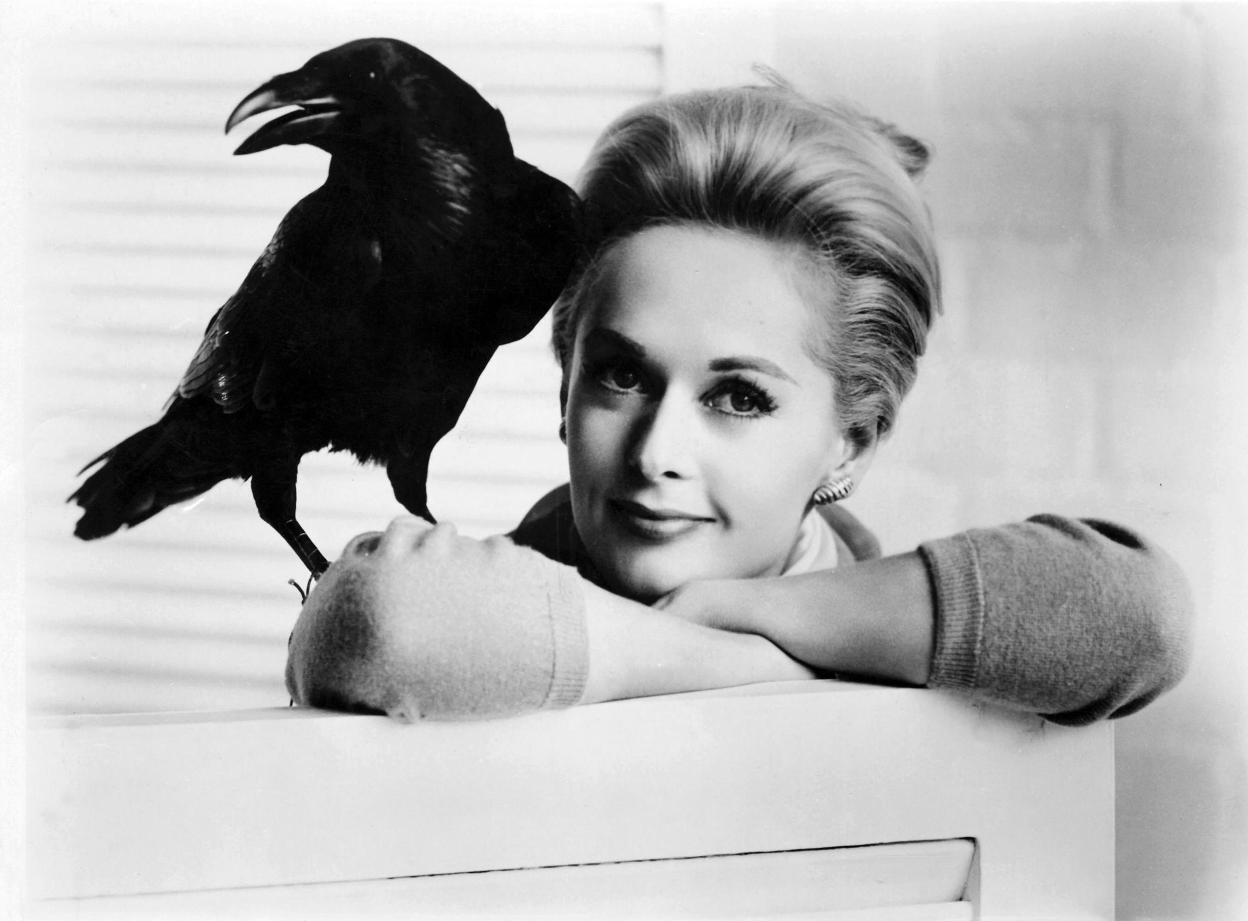 10 surprising facts about tippi hedren yours 10 surprising facts about tippi hedren yours