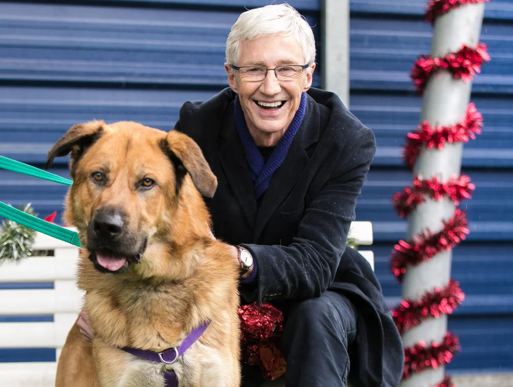 for-love-of-dogs-christmas-paul-ogrady.jpg