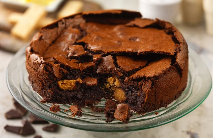 Chocolate-Mousse-Cake-copy.jpg