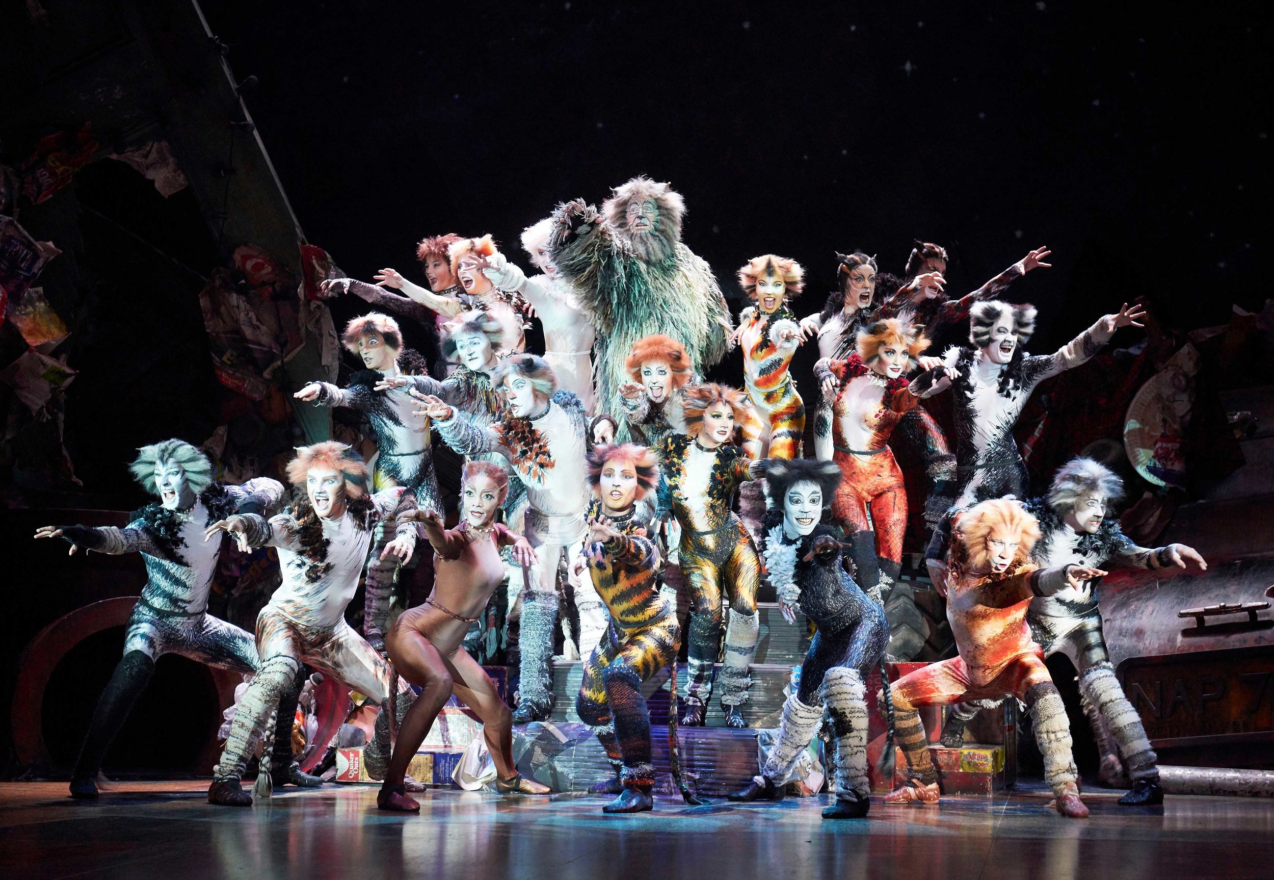 Cats the musical to turn into star studded film — Yours