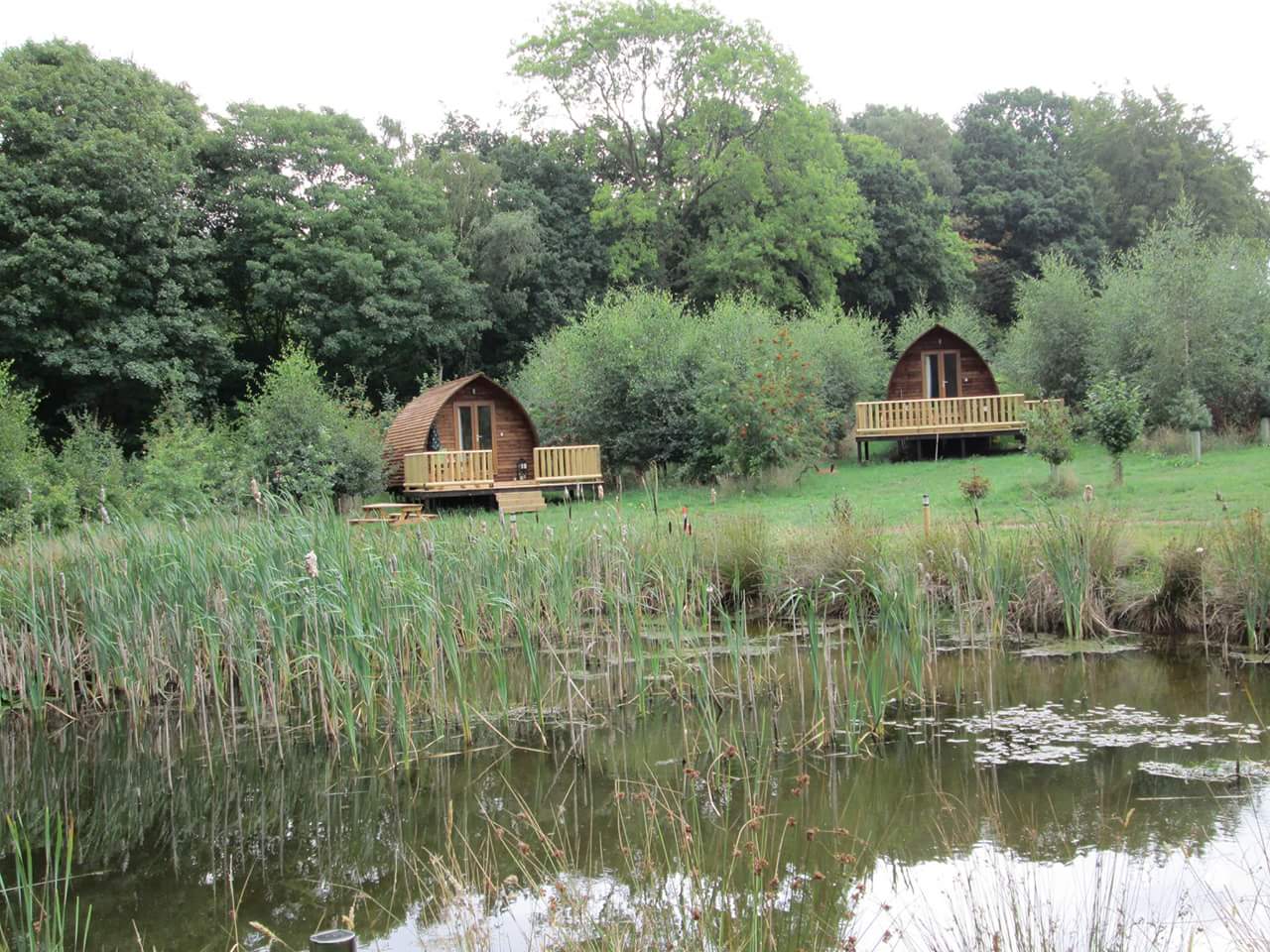 Six cabins are located around a freshwater pond brimming with wildlife