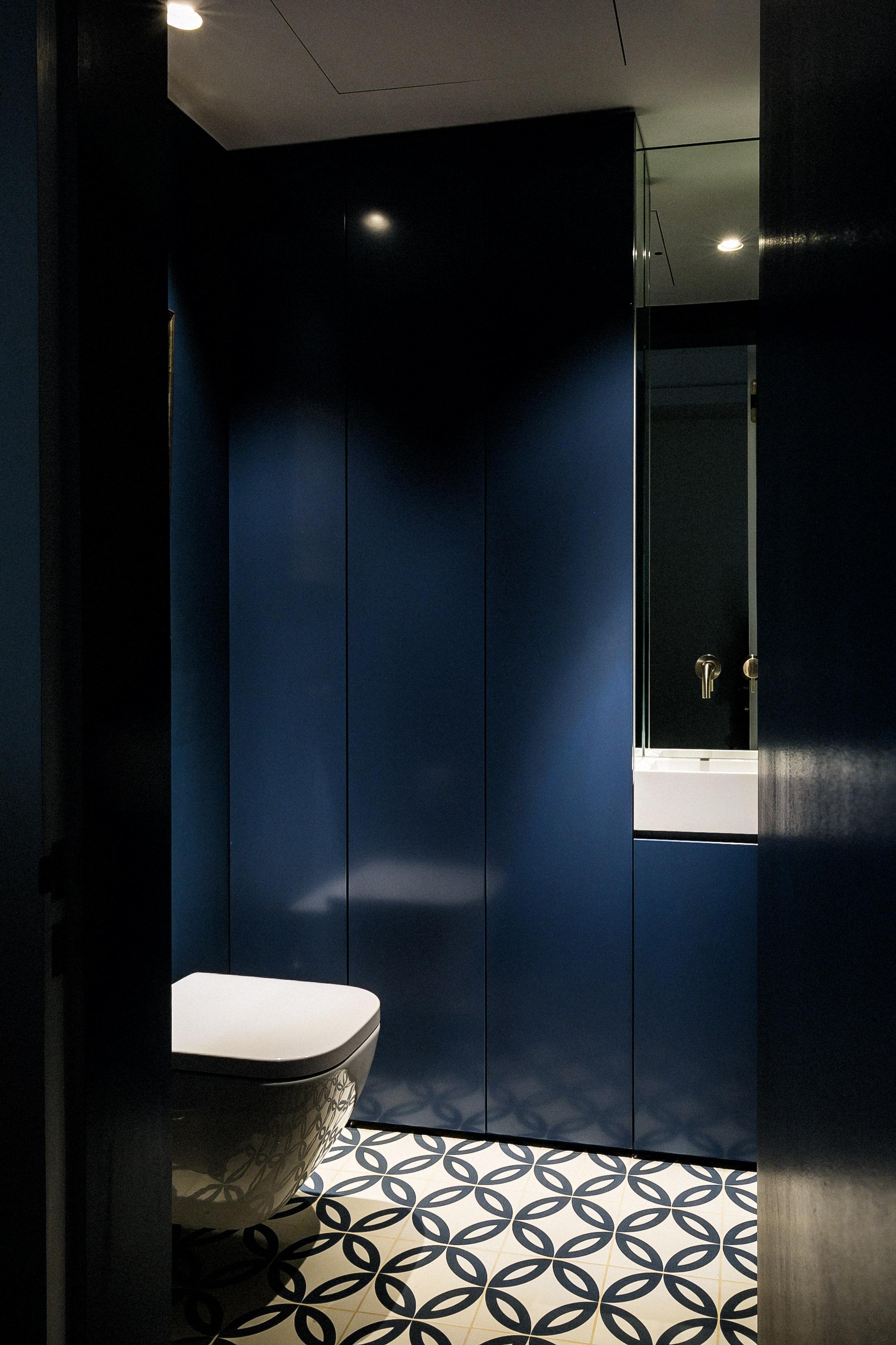 Internal guest WC rendered in dark hues with mirrored niches.