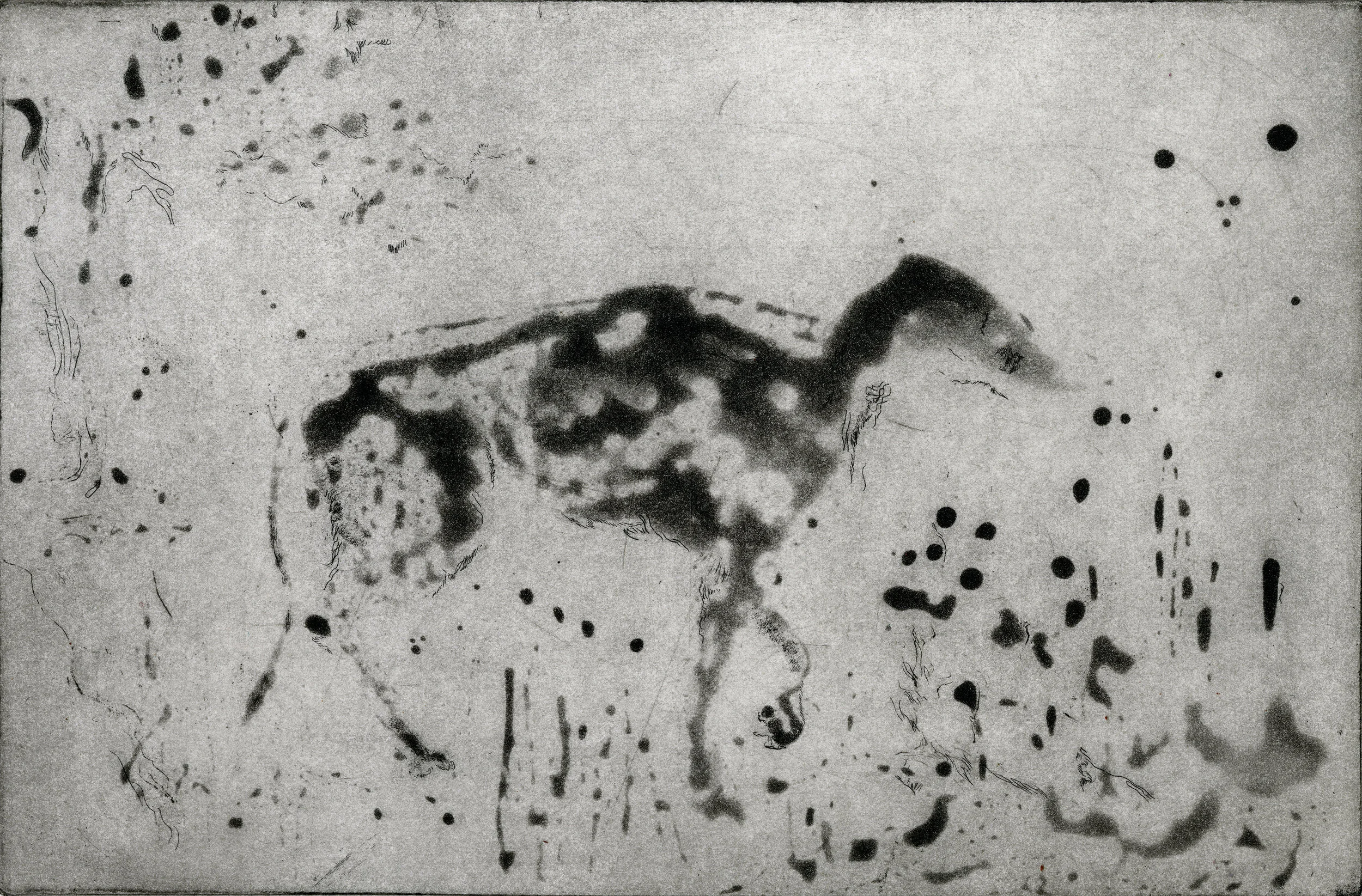Hound