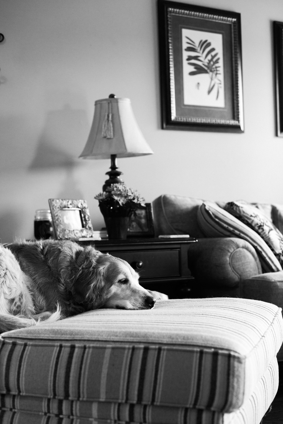 Kerr-Home-web-2447.jpg