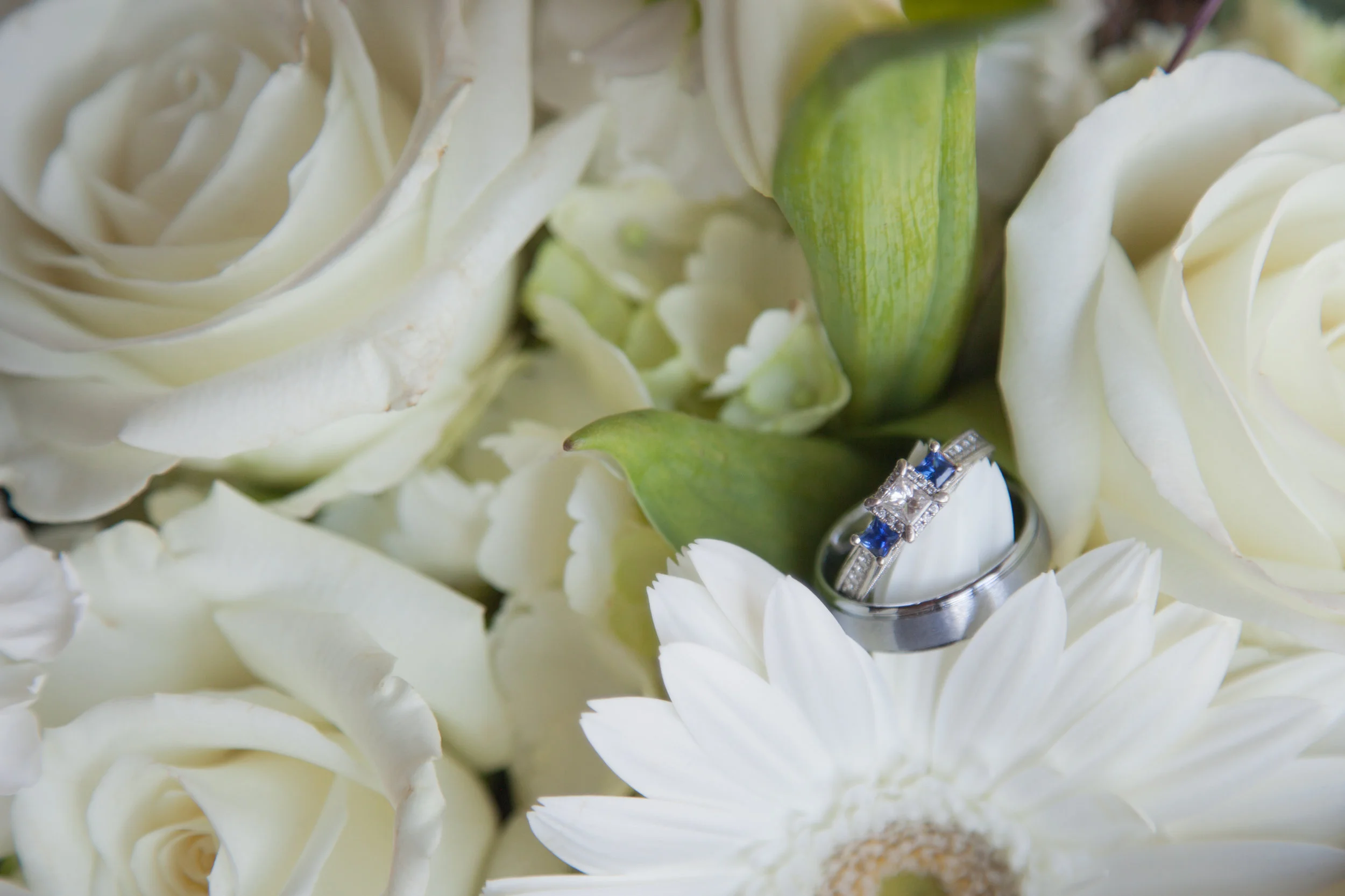 Coleman-Wedding-3695.jpg