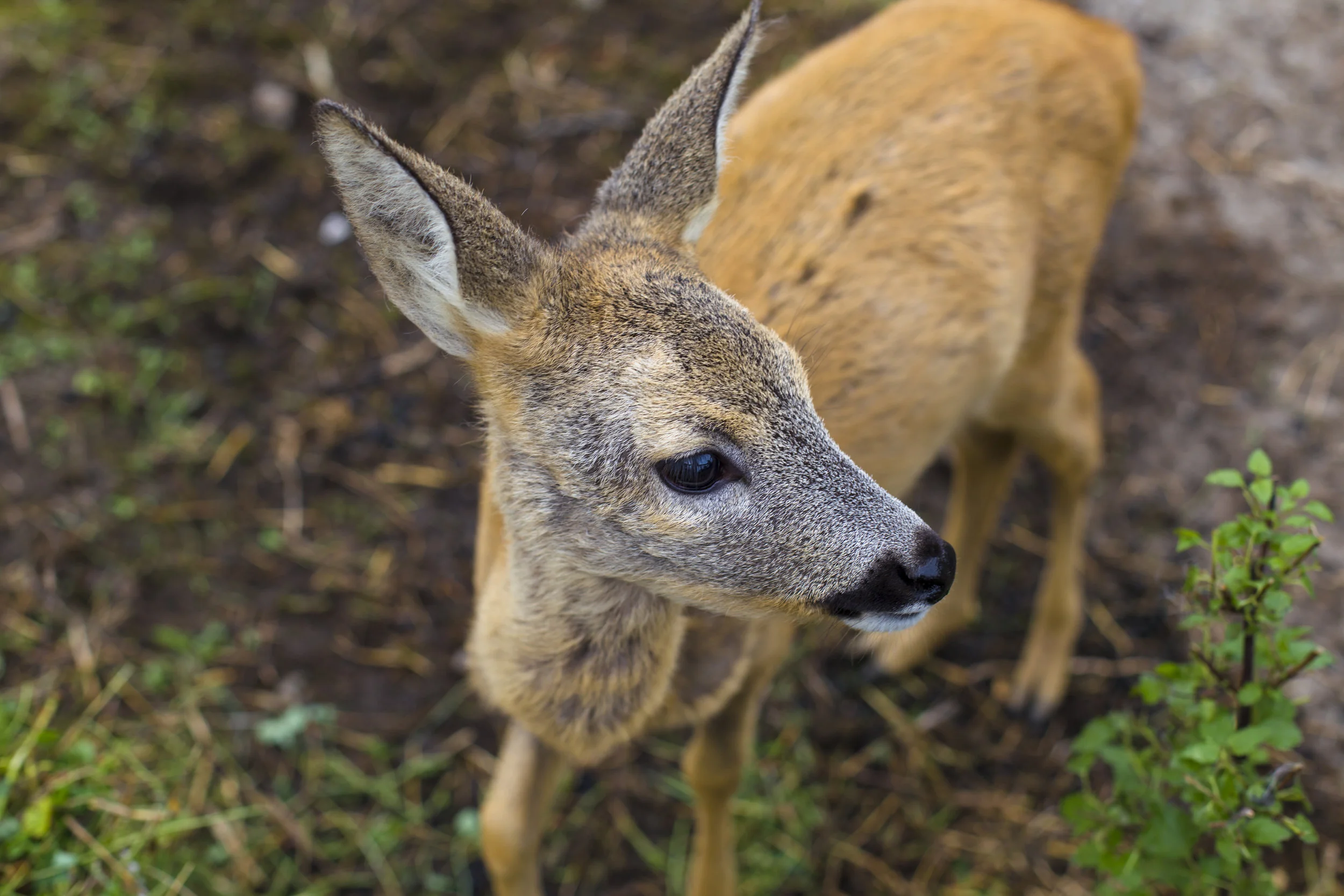 AdobeStock_123474566.jpeg