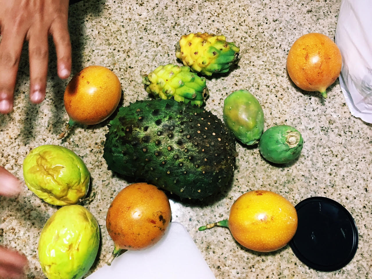 bogota_feb8_fruit.jpg