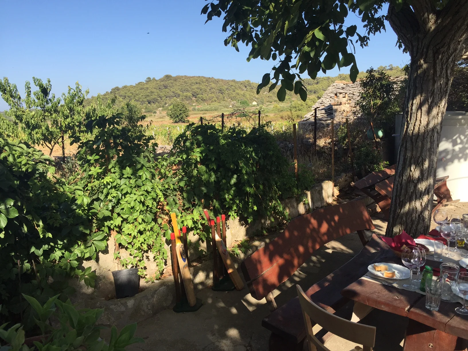 IMG_2760.JPG
