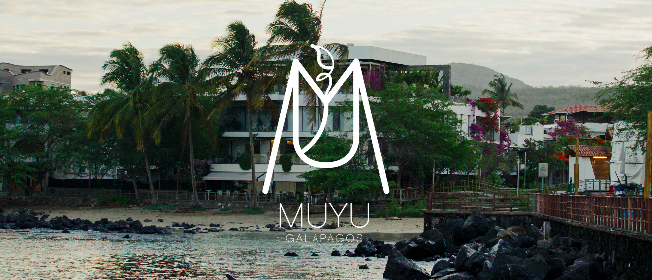 muyu2.png