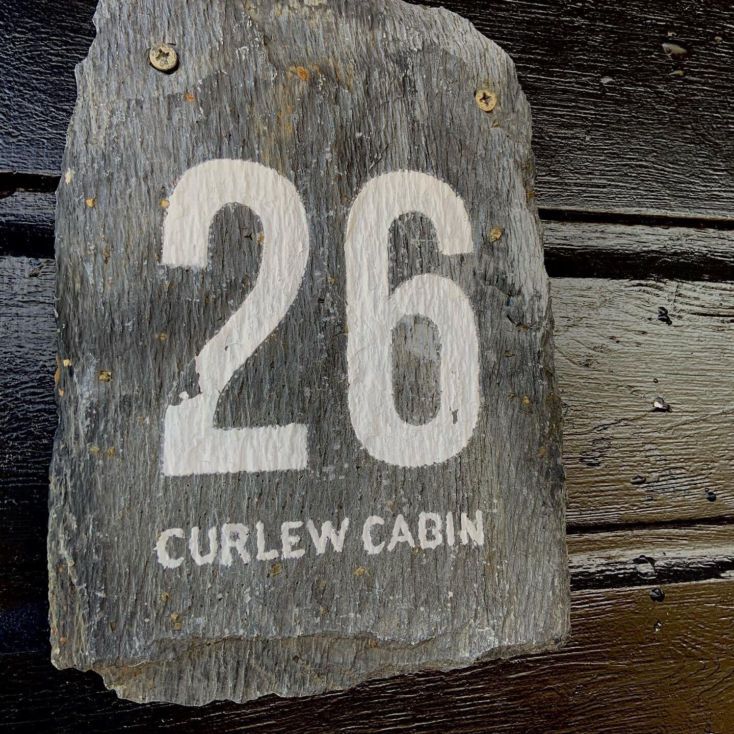 It&rsquo;s World Curlew Day today and we&rsquo;ve spent the day at the cabin getting ready to reopen next week and looking for Curlews on the shoreline. It&rsquo;s been a long few months but hopefully there&rsquo;s blue skies (and wild flowers) ahead
