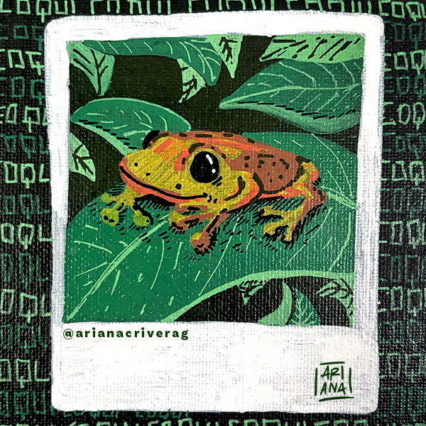 CoquiPolaroid.png