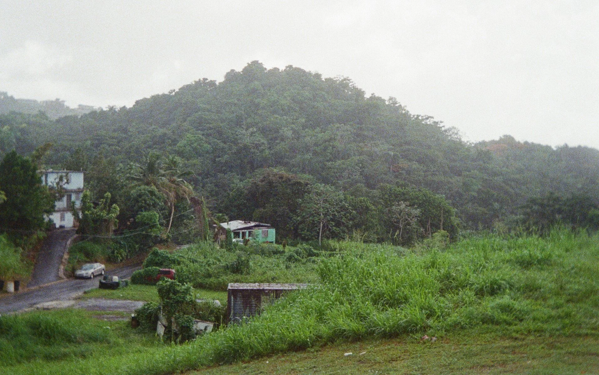 FIRST_000075550028.jpg