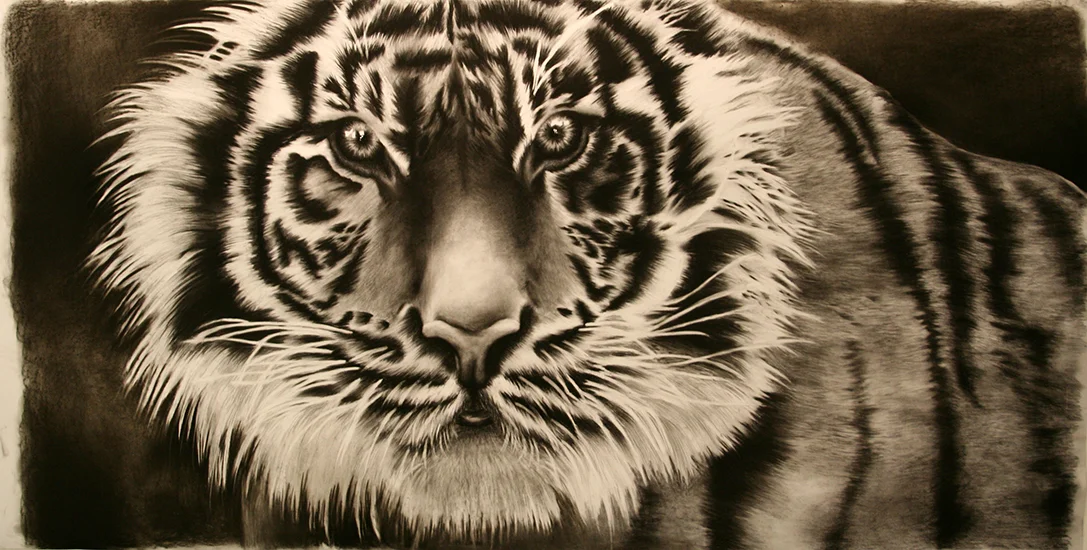 Drawing II 40x80" Charcoal