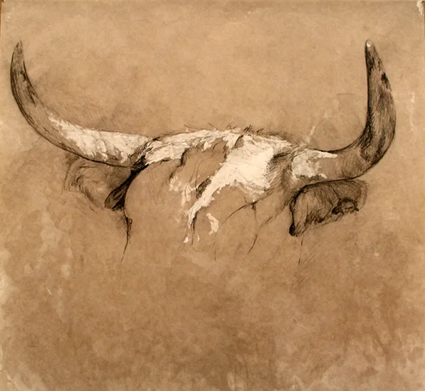 Drawing II 15x15" Charcoal and Pastel on Waxed Paper