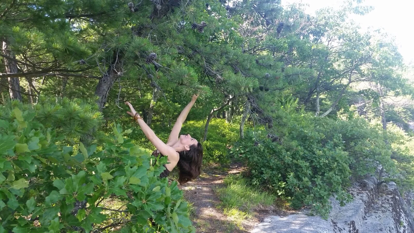 What shape waits in the seed of you to grow and spread its branches against a future sky?
