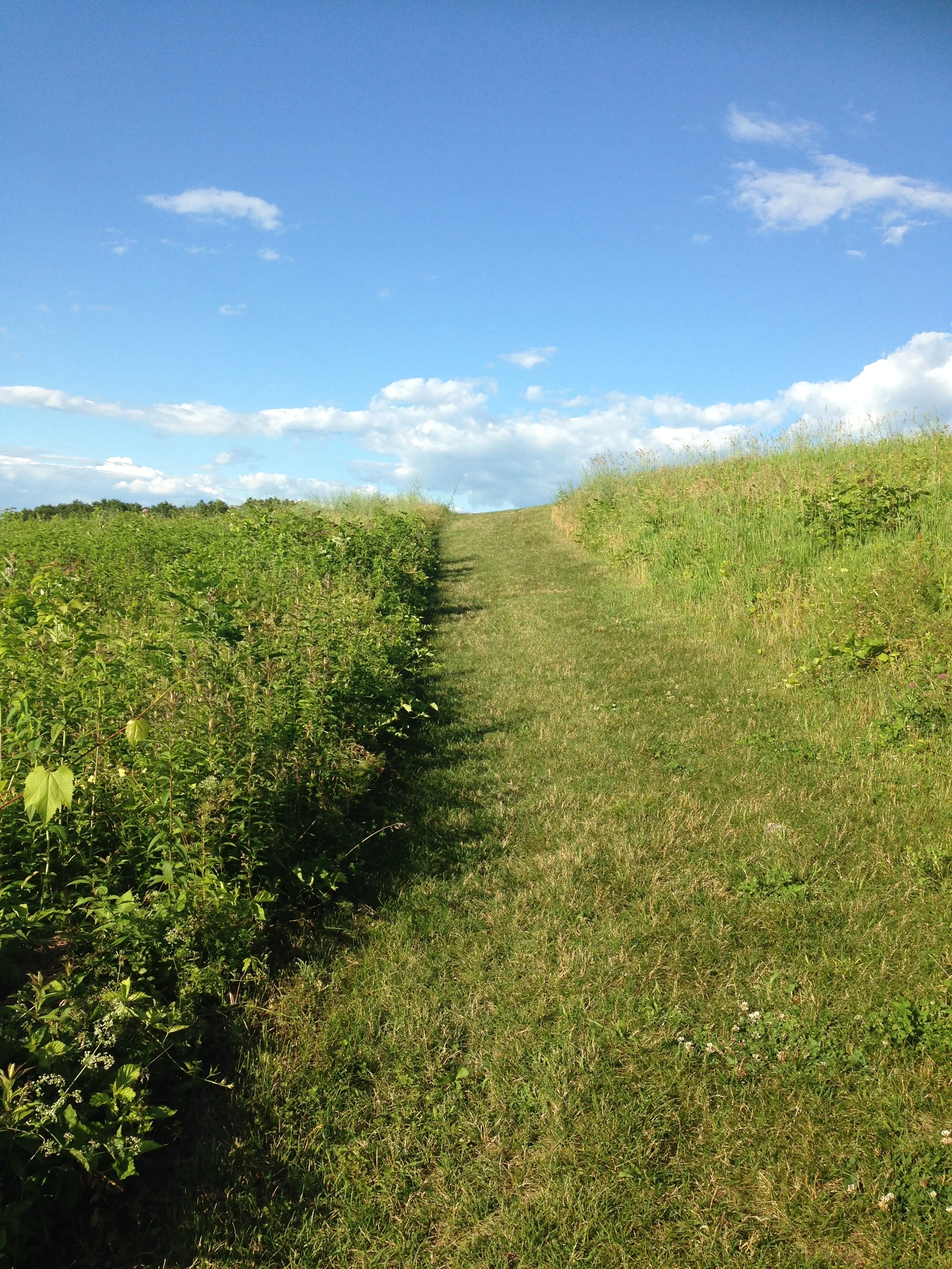 Day 1: Merely getting in the car and driving to this spot stirs up my sluggishness. Walking up this path, I feel my whole being settle into a new rhythm and fullness of breath! 