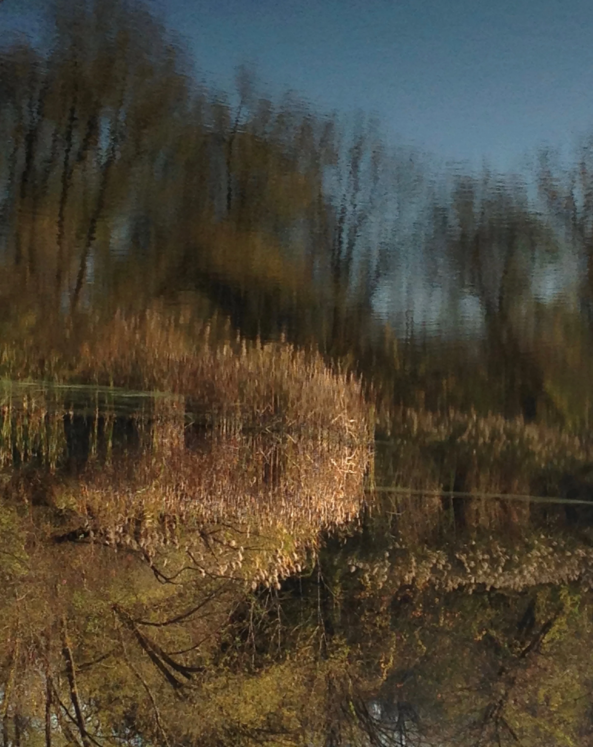 Reflection&Reflexion.jpg